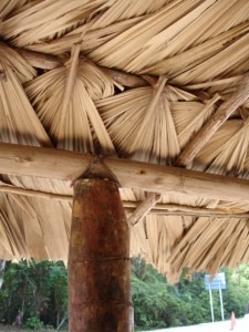 Botan thatch & log Tikal entrance 05